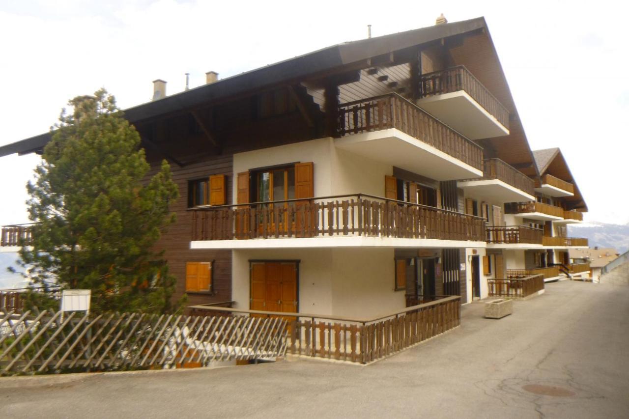 Greppons Cosy & Mountain Apartments By Alpvision Residences Veysonnaz Ngoại thất bức ảnh